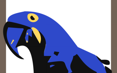 Macaw plus V 3.0.0 is released